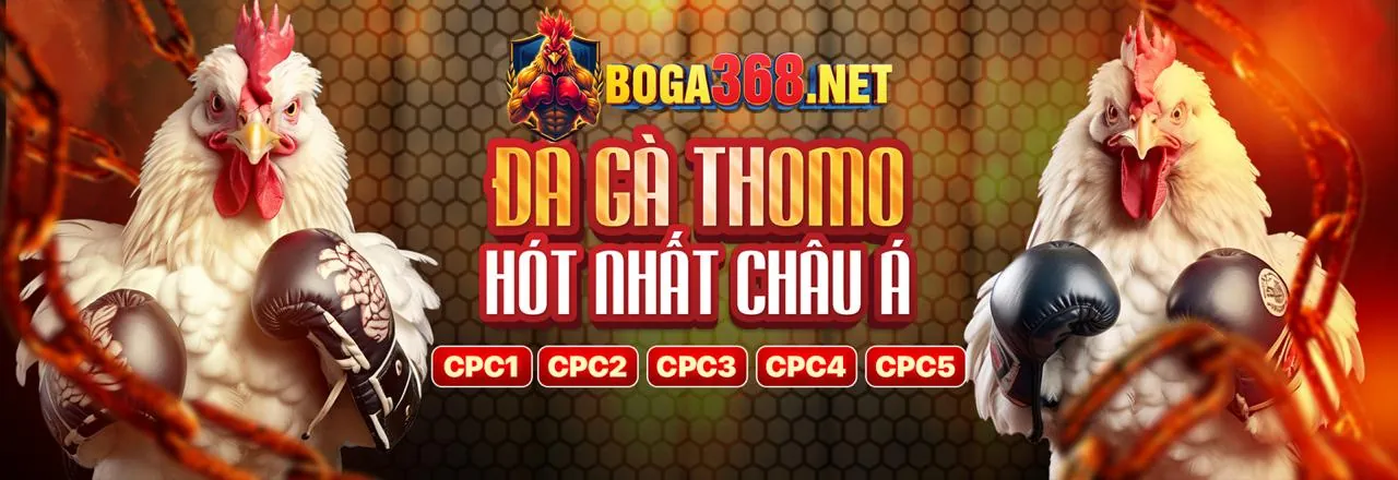 Cá cược thể thao đỉnh cao tại cro88 trang chủ chính thức